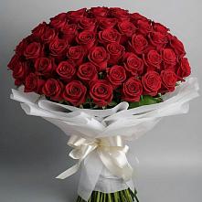 Букет 101 Красная роза Блэк Мэджик в Ильинке Астраханской области
