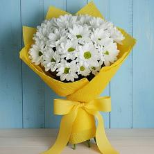 Букет цветов из:  Хризантемы в Ильинке Астраханской области