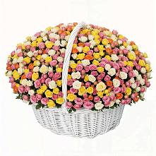 Премиум букет из: Розы #REPLACE_PRED# Ильинке Астраханской области