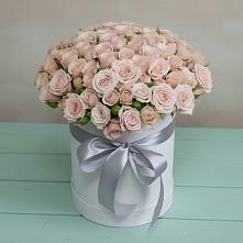 Цветочная композиция из Розы в шляпной коробке #REPLACE_PRED# Ильинке Астраханской области