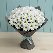 Букет цветов из:  Хризантемы в Ильинке Астраханской области
