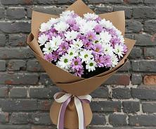 Букет цветов из:  Хризантемы в Ильинке Астраханской области