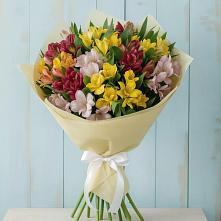 Букет цветов из:  Альстромерии в Ильинке Астраханской области