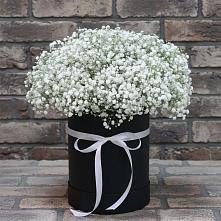 Цветочная композиция из Гипсофила в шляпной коробке #REPLACE_PRED# Ильинке Астраханской области