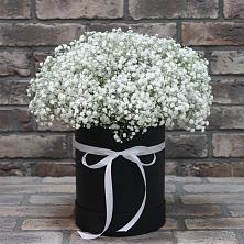 Цветочная композиция из Гипсофила в шляпной коробке в Ильинке Астраханской области