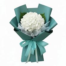 Букет цветов из:  Гортензия в Ильинке Астраханской области